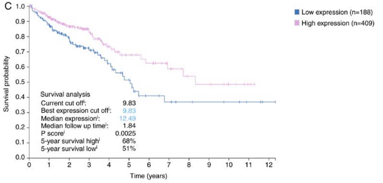 Association between IRF1 expression and the 5-year survival rate.jpg